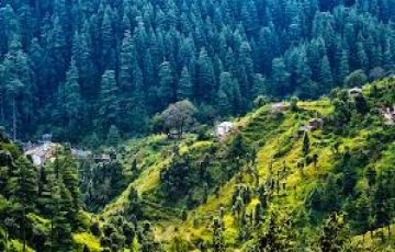 Ecstatic 3 Days Delhi to Ranikhet Tour Package