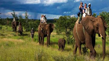 Pleasurable 3 Days 2 Nights Delhi with Jim Corbett Vacation Package