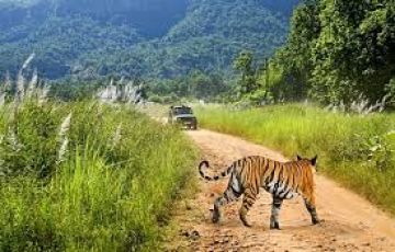 Pleasurable 3 Days 2 Nights Delhi with Jim Corbett Vacation Package