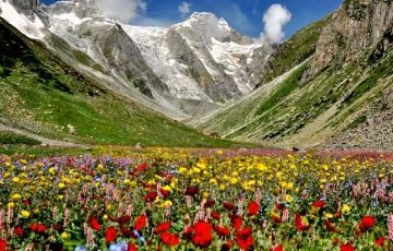 Beautiful Joshimath Tour Package for 3 Days from Delhi