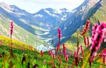 Beautiful Joshimath Tour Package for 3 Days from Delhi
