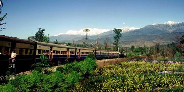 Family Getaway 3 Days Pathankot to Palampur Holiday Package