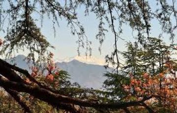 Ecstatic 3 Days 2 Nights Delhi with Chakrata Tour Package