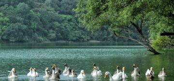 Memorable 4 Days 3 Nights Haridwar and Nainital Holiday Package