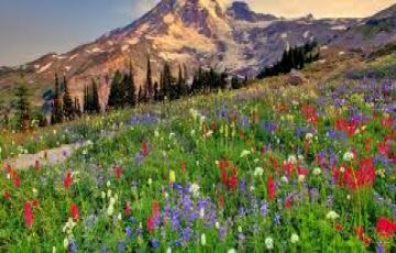 Beautiful 4 Days Dehradun, Chakrata and Mussoorie Vacation Package