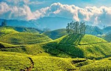 Magical 3 Days Cochin and Munnar Vacation Package