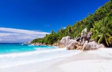 Praslin Tour Package for 7 Days from Seychelles