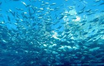 Ecstatic Seychelles Tour Package for 4 Days 3 Nights