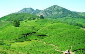 Ecstatic 4 Days Cochin with Munnar Vacation Package