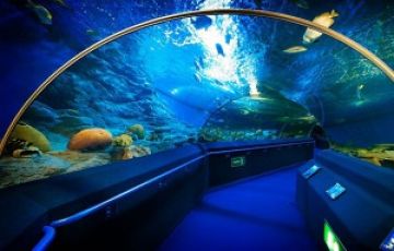 Heart-warming 7 Days Underwater World Tour Package