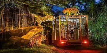 Family Getaway 4 Days Bali Tour Package