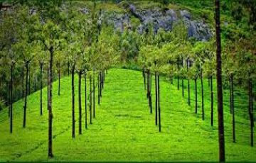 Memorable Thekkady Tour Package from Cochin
