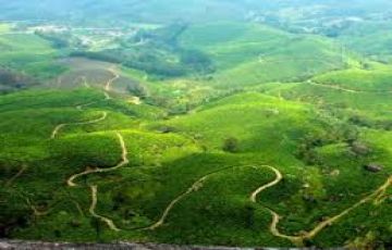 Memorable Thekkady Tour Package from Cochin