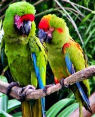 Magical 6 Days 5 Nights Singapore Vacation Package