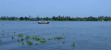 Heart-warming 4 Days 3 Nights Munnar, Alleppey with Kochi Vacation Package