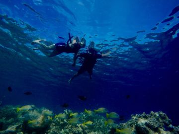 Beautiful Male Tour Package for 4 Days