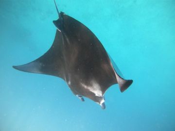 Beautiful Male Tour Package for 4 Days