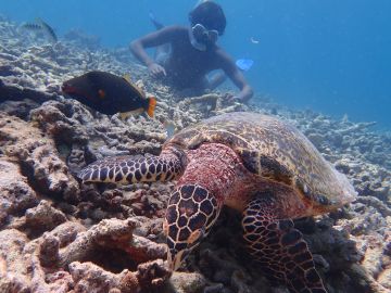 Beautiful Male Tour Package for 4 Days