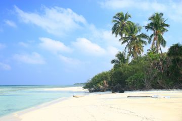 Beautiful Male Tour Package for 4 Days