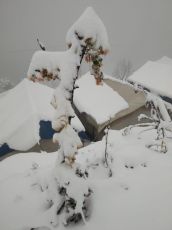 Ecstatic Kanatal Tour Package for 3 Days 2 Nights