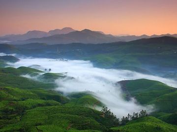 Beautiful 5 Days Kochi, Munnar and Alleppey Trip Package