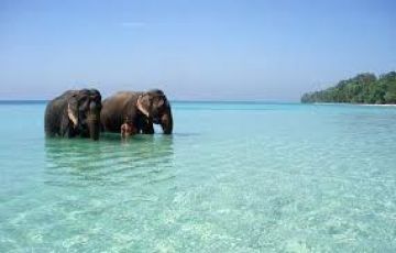 Ecstatic 5 Days Neil Island, Havelock Island and Port Blair Vacation Package
