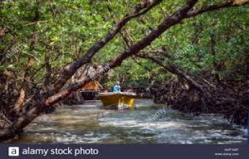 6 Days 5 Nights Port Blair Vacation Package