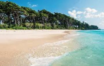 Amazing Havelock Island Tour Package for 5 Days