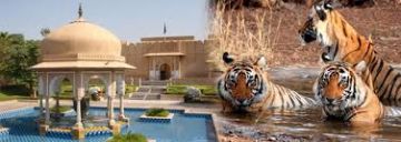 Experience Ranthambore Tour Package from Jaipur