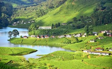 Beautiful 3 Days Cochin with Munnar Holiday Package