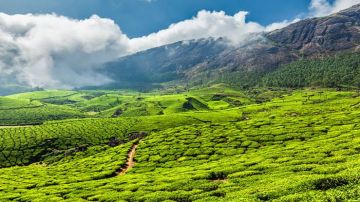 Best 3 Days Munnar and Cochin Holiday Package