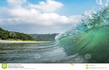 Ecstatic Neil Island Tour Package for 5 Days from Port Blair