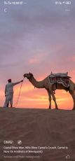 Heart-warming 8 Days 7 Nights Delhi, Agra, Ranthambore and Awaneri Enjoy Old Temple And Village Tour Tour Package
