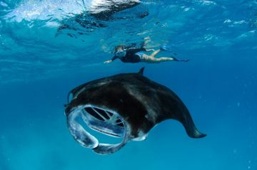 Best 4 Days Male and Alif Dhaal Dhangethi Trip Package