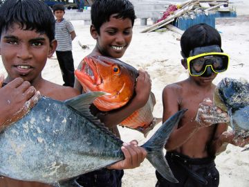 Best 4 Days Male and Alif Dhaal Dhangethi Trip Package