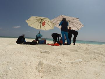 Best 4 Days Male and Alif Dhaal Dhangethi Trip Package