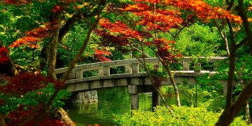 Beautiful 4 Days Bangalore to Ooty Vacation Package