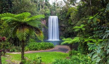 Best 8 Days Australia to Cairns Holiday Package