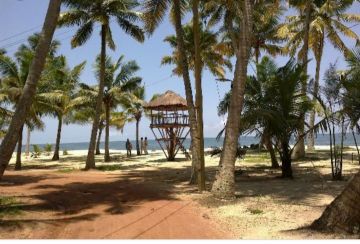 Best 6 Days Munnar, Thekkady with Alleppey Holiday Package