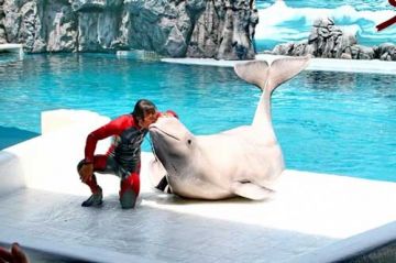 7 Days 6 Nights Airport Picks Up And Transfers To Hotel Tour Package