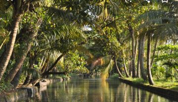 Family Getaway 5 Days 4 Nights Cherai Beach Vacation Package