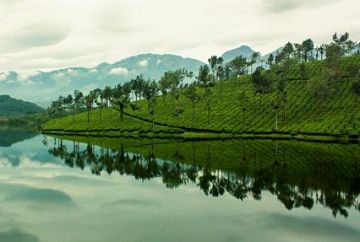 Ecstatic 6 Days 5 Nights Cochin with Munnar Tour Package