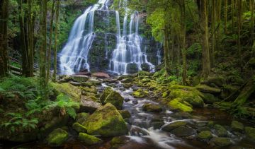 Ecstatic 10 Days 9 Nights Australia Tour Package