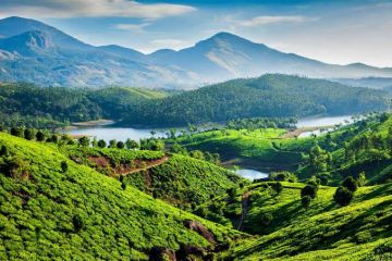 Pleasurable 3 Days 2 Nights Munnar and Cochin Tour Package