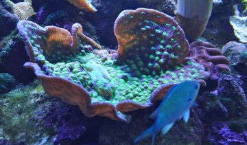 Memorable Cairns Tour Package for 12 Days from Sydney