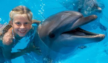 Memorable Cairns Tour Package for 12 Days from Sydney