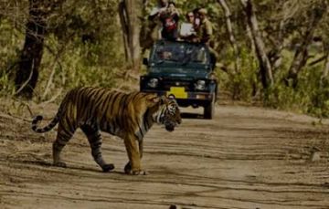 Memorable 8 Days Mussoorie, Haridwar and Corbett Tour Package