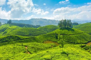 Heart-warming Thekkady Tour Package for 6 Days 5 Nights