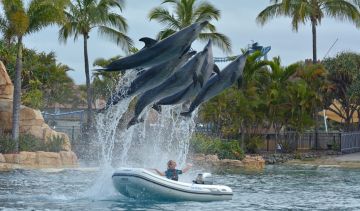 Brisbane Tour Package for 10 Days 9 Nights