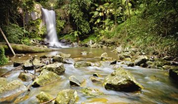 Brisbane Tour Package for 10 Days 9 Nights